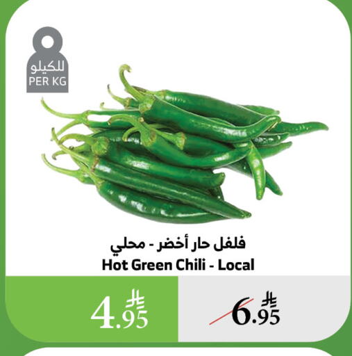 الخضروات الطازجة in الراية, المملكة العربية السعودية Offers - المملكة العربية السعودية فلفل / فليفلة available at الراية in مملكة العربية السعودية, السعودية, سعودية - خميس مشيط