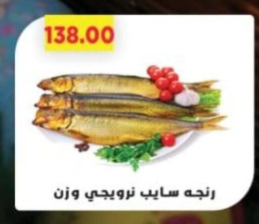 available at جرين هايبر ماركت in Egypt - القاهرة