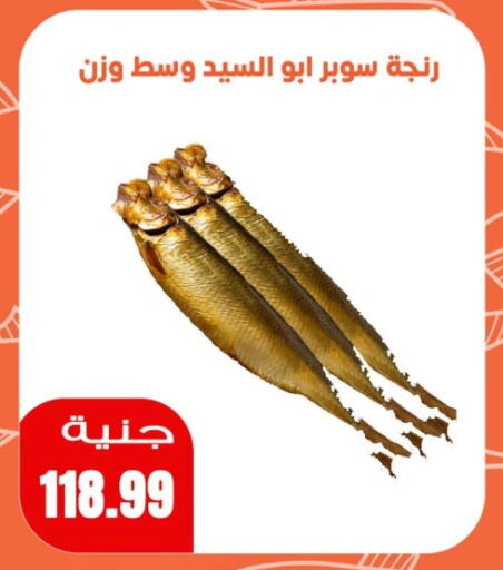 available at Ghallab Market in Egypt - Cairo