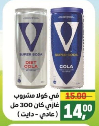 available at Safeer market in Egypt - Cairo