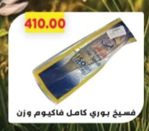 Frozen Fish in Green Hypermarket, Egypt Offers - Egypt available at Green Hypermarket in Egypt - Cairo