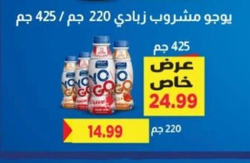 Yoghurt available at Green Hypermarket in Egypt - Cairo