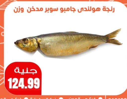 available at Ghallab Market in Egypt - Cairo