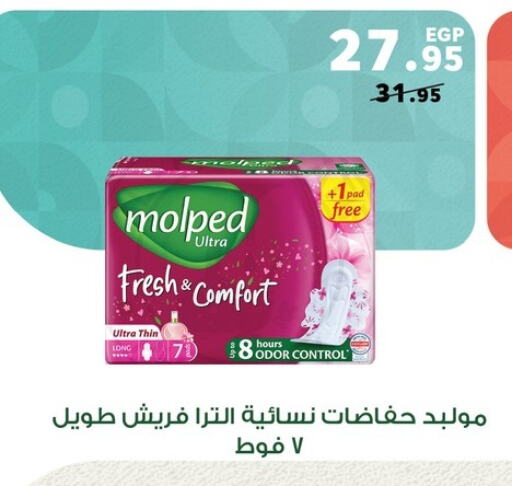 available at بنده in Egypt - القاهرة