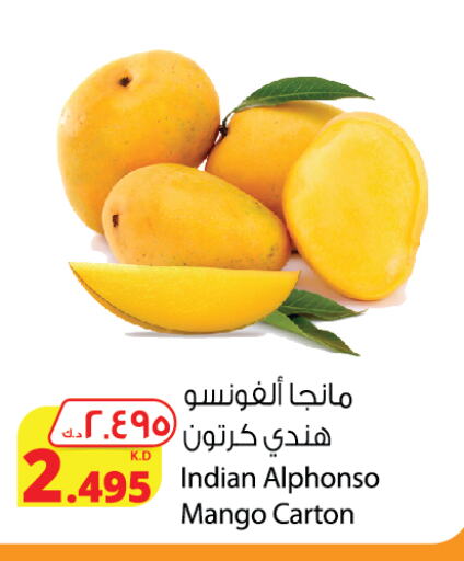 Fresh Fruits in Agricultural Food Products Co., Kuwait Offers - Kuwait Mangoes from India available at Agricultural Food Products Co. in Kuwait - Ahmadi Governorate