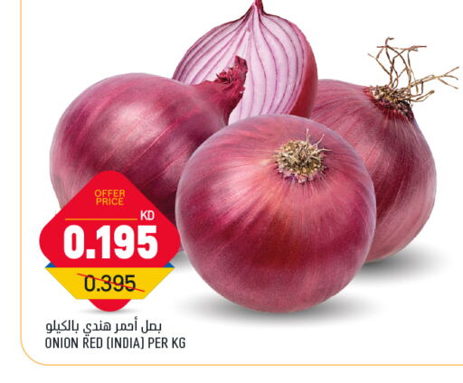 Onion from India available at Oncost in Kuwait - Ahmadi Governorate