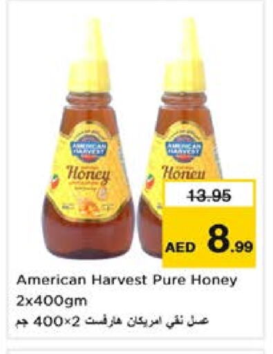 Sauces & Spreads in Nesto Hypermarket, UAE Offers - United Arab Emirates AMERICAN HARVEST Honey available at Nesto Hypermarket in UAE - Sharjah / Ajman