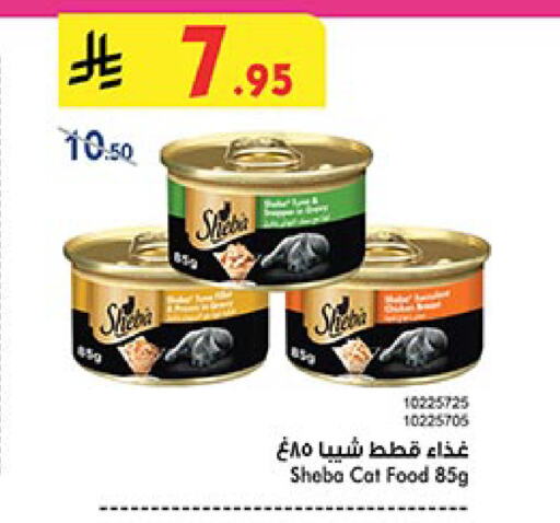 available at بن داود in مملكة العربية السعودية, السعودية, سعودية - مكة المكرمة
