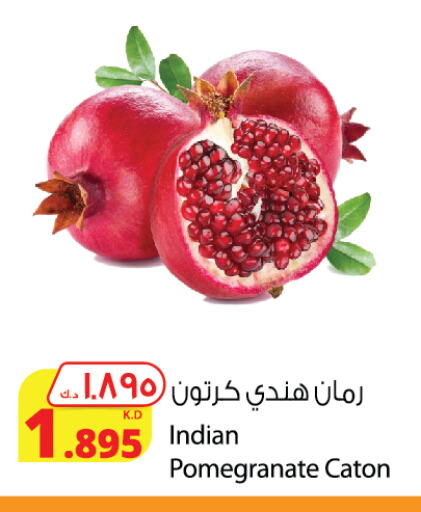 Fresh Fruits in Agricultural Food Products Co., Kuwait Offers - Kuwait Pomegranate from India available at Agricultural Food Products Co. in Kuwait - Ahmadi Governorate