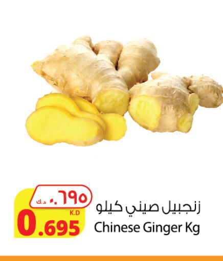 Ginger from China available at Agricultural Food Products Co. in Kuwait - Jahra Governorate
