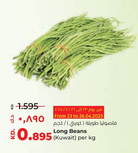 Fresh Vegetables in Lulu Hypermarket , Kuwait Offers - Kuwait Beans from Kuwait available at Lulu Hypermarket in Kuwait - Jahra Governorate