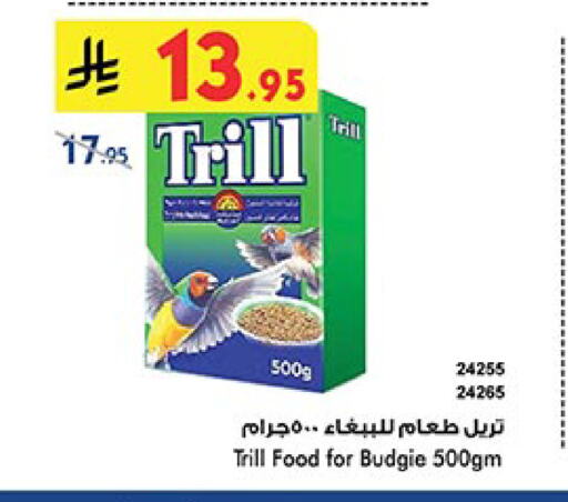 available at بن داود in مملكة العربية السعودية, السعودية, سعودية - مكة المكرمة