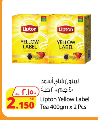 Lipton Tea Powder available at Agricultural Food Products Co. in Kuwait - Jahra Governorate