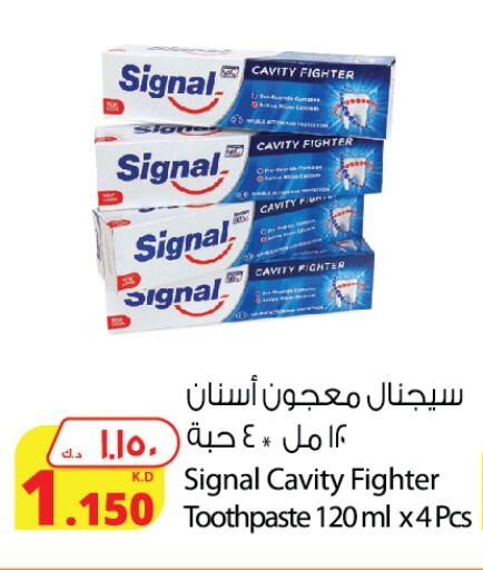 Dental Care in Agricultural Food Products Co., Kuwait Offers - Kuwait SIGNAL Toothpaste available at Agricultural Food Products Co. in Kuwait - Jahra Governorate