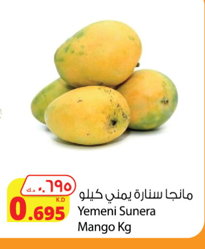 Fresh Fruits in Agricultural Food Products Co., Kuwait Offers - Kuwait Mangoes from Yemen available at Agricultural Food Products Co. in Kuwait - Ahmadi Governorate