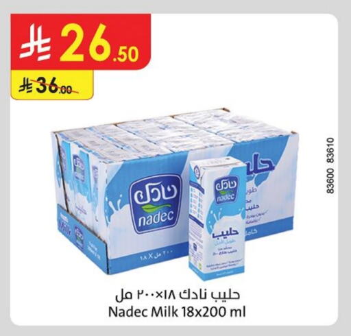 NADEC available at Danube in KSA, Saudi Arabia, Saudi - Hail