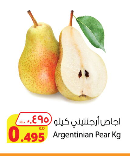 Fresh Fruits in Agricultural Food Products Co., Kuwait Offers - Kuwait Pear from Argentina available at Agricultural Food Products Co. in Kuwait - Ahmadi Governorate