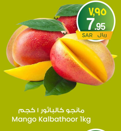 Fresh Fruits in City Flower, Saudi Arabia Offers - Saudi Arabia Mangoes available at City Flower in KSA, Saudi Arabia, Saudi - Hail