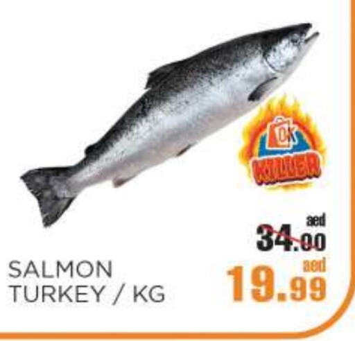 available at أوكى هايبرماركت in الإمارات العربية المتحدة , الامارات - أبو ظبي