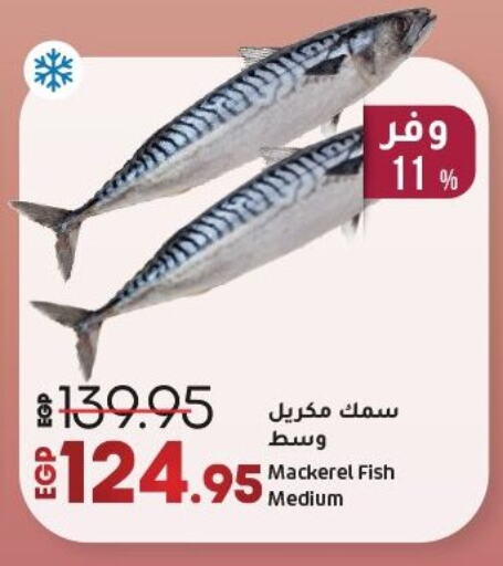 available at لولو هايبرماركت in Egypt - القاهرة