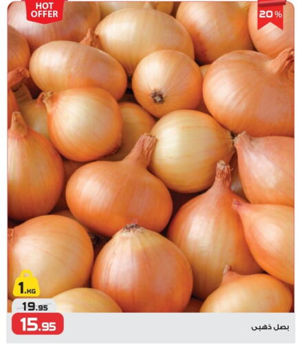 Fresh Vegetables in Zahran Market, Egypt Offers - Egypt Onion available at Zahran Market in Egypt - Cairo