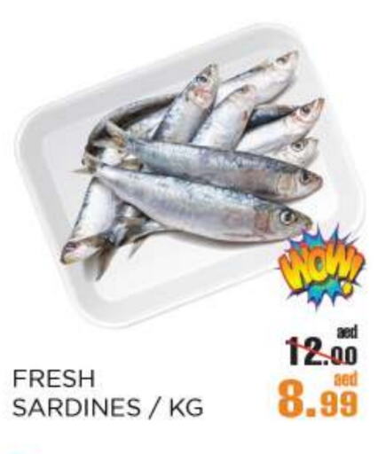 available at أوكى هايبرماركت in الإمارات العربية المتحدة , الامارات - أبو ظبي