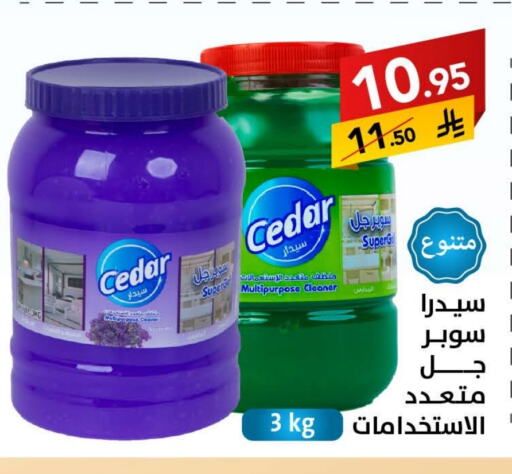 تنظيف in على كيفك, المملكة العربية السعودية Offers - المملكة العربية السعودية منظف عام available at على كيفك in مملكة العربية السعودية, السعودية, سعودية - حائل