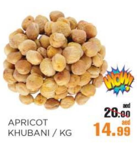 Apricot available at OK Hypermarket LLC SPC in UAE - Abu Dhabi