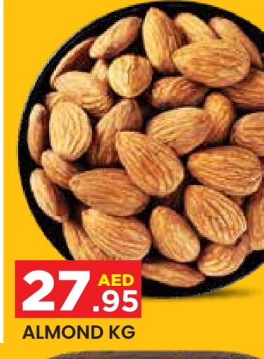 available at سنابل بني ياس in الإمارات العربية المتحدة , الامارات - أبو ظبي