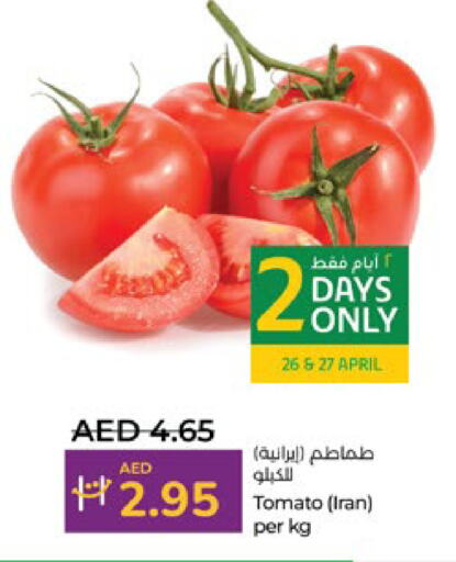 Tomato from Iran available at Lulu Hypermarket in UAE - Abu Dhabi