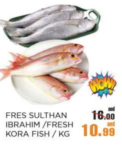 available at أوكى هايبرماركت in الإمارات العربية المتحدة , الامارات - أبو ظبي