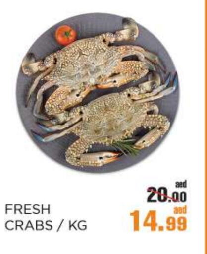 available at أوكى هايبرماركت in الإمارات العربية المتحدة , الامارات - أبو ظبي