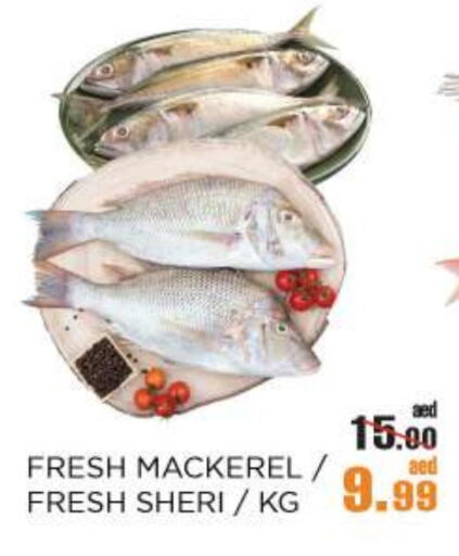 available at أوكى هايبرماركت in الإمارات العربية المتحدة , الامارات - أبو ظبي