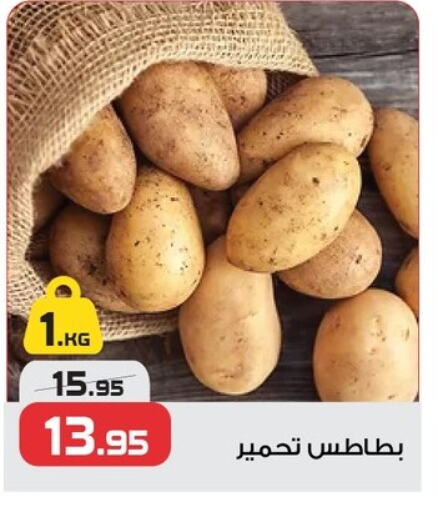 Fresh Vegetables in Zahran Market, Egypt Offers - Egypt Potato available at Zahran Market in Egypt - Cairo