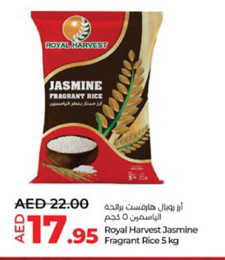 أرز ياسمين available at لولو هايبرماركت in الإمارات العربية المتحدة , الامارات - ٱلْعَيْن‎