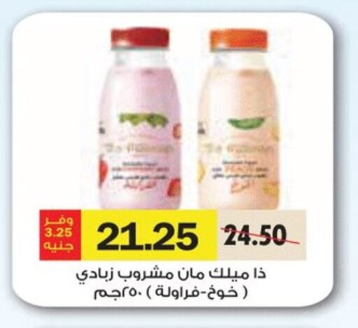 Yogurt & Labneh in Royal House, Egypt Offers - Egypt Yoghurt available at Royal House in Egypt - Cairo