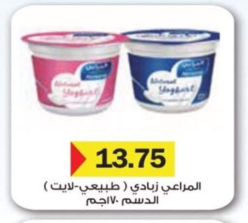Yogurt & Labneh in Royal House, Egypt Offers - Egypt ALMARAI Yoghurt available at Royal House in Egypt - Cairo