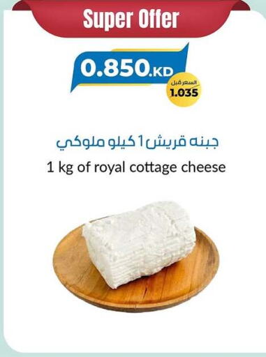 جبنة و كريم in جمعية خيطان التعاونية, الكويت Offers - الكويت جبنة القريش available at جمعية خيطان التعاونية in الكويت - محافظة الأحمدي