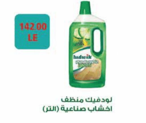 General Cleaner available at Royal House in Egypt - Cairo