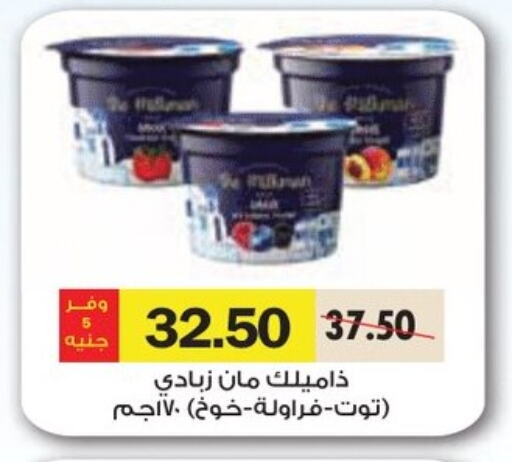 Yogurt & Labneh in Royal House, Egypt Offers - Egypt Yoghurt available at Royal House in Egypt - Cairo