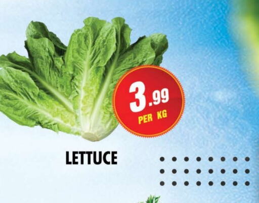 الخضروات الطازجة in نايت تو نايت, UAE Offers - الإمارات العربية المتحدة Lettuce available at نايت تو نايت in الإمارات العربية المتحدة , الامارات - الشارقة / عجمان