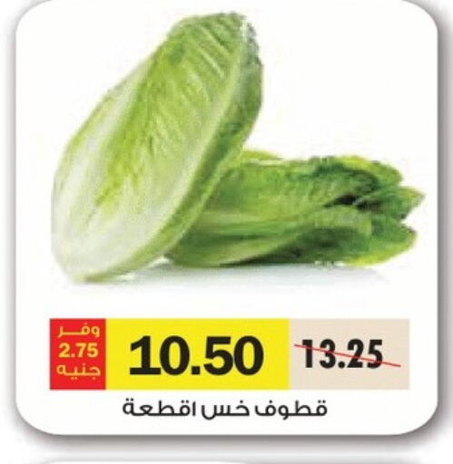 Fresh Vegetables in Royal House, Egypt Offers - Egypt available at Royal House in Egypt - Cairo