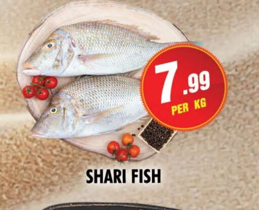 Fresh Fish in NIGHT TO NIGHT DEPARTMENT STORE, UAE Offers - United Arab Emirates available at NIGHT TO NIGHT DEPARTMENT STORE in UAE - Sharjah / Ajman