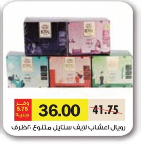 available at Royal House in Egypt - Cairo
