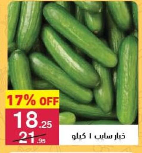 Fresh Vegetables in Mahmoud El Far, Egypt Offers - Egypt available at Mahmoud El Far in Egypt - Cairo