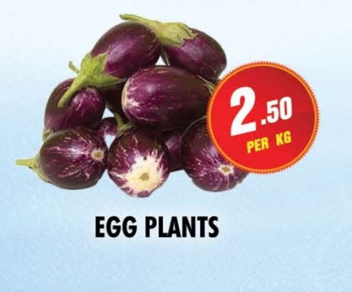 available at NIGHT TO NIGHT DEPARTMENT STORE in UAE - Sharjah / Ajman