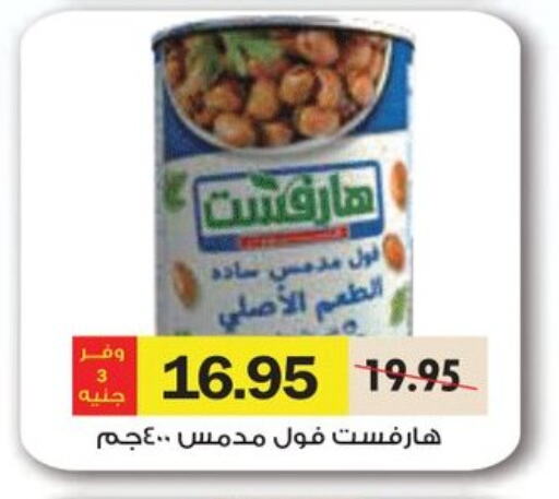 Canned & Packeted in Royal House, Egypt Offers - Egypt available at Royal House in Egypt - Cairo