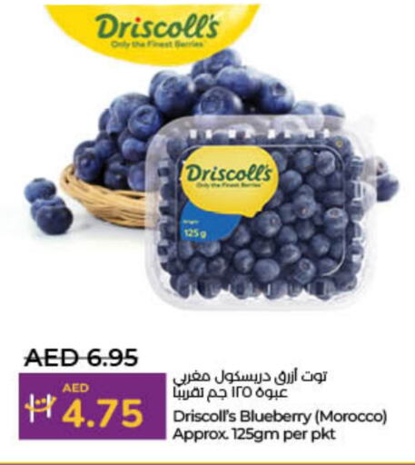 Berries from Morocco available at Lulu Hypermarket in UAE - Umm al Quwain