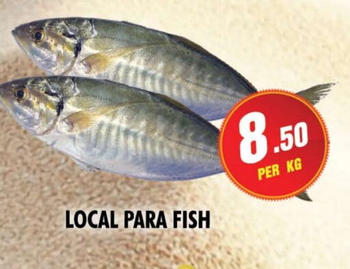 Fresh Fish in NIGHT TO NIGHT DEPARTMENT STORE, UAE Offers - United Arab Emirates available at NIGHT TO NIGHT DEPARTMENT STORE in UAE - Sharjah / Ajman
