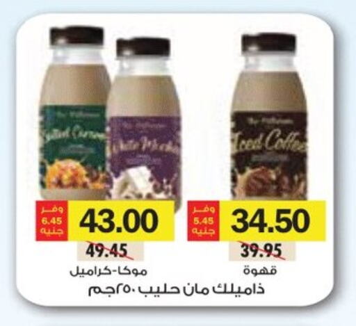 Milk & Laban in Royal House, Egypt Offers - Egypt available at Royal House in Egypt - Cairo